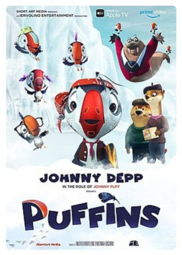 Puffins